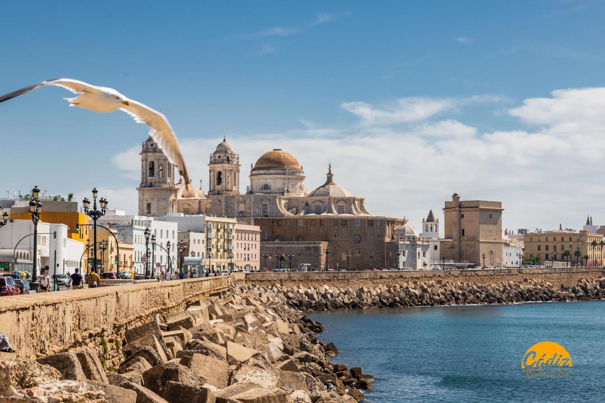 Loft Victoria Beach - Free Parking By Cadiz Time المظهر الخارجي الصورة
